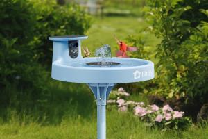 The Birdfy Bath Pro, an award-winning smart “puddle” that helps wild birds beat the heat.