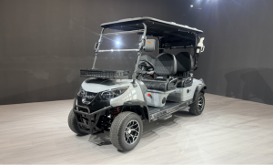 China Leading Golf Cart Exporter