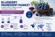 Blueberry Ingredient Market to Reach USD 3.77 Billion by 2035, Growing at 6.40% CAGR