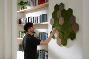 An illustration of Taiga Moss Hexa used in real life, with an owner tending its moss | Image provided by Taiga Inc.