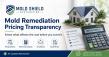 Louisiana Mold Remediation Company Takes a More Transparent Approach to Pricing