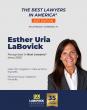 LaBovick Law Group Celebrates 35 Years with 2027 Best Lawyers® Recognitions