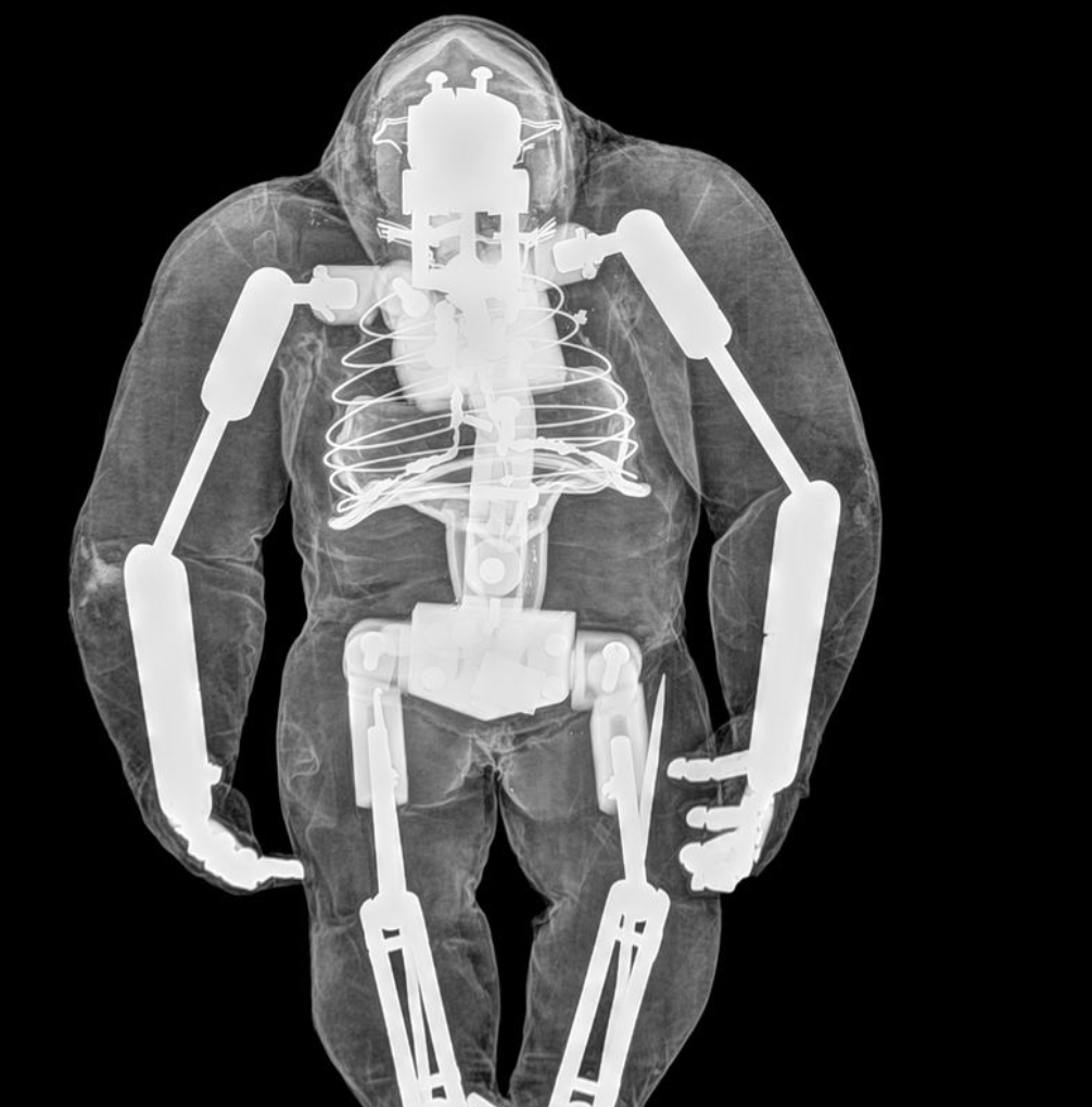 RAY HARRYHAUSEN’S LOST FAVORITE MIGHTY JOE YOUNG ANIMATION MODEL MAY HAVE RESURFACED IN AUCTION