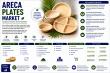Areca Plates Market Projected to Reach $2.08 Billion by 2035 as Global Plastic Bans Create a Permanent Demand Floor