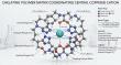 Advanced Chelating Resin Heavy Metal Removal Solutions Provider: A Comparison of Functional Groups