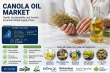 Canola Oil Market Projected to Reach USD 62.15 Billion by 2035, Driven by Expanding Food Industry Applications