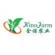 Top 10 Wholesale Ficus Ginseng Bonsai Suppliers in China 2026: Delivering Reliable Horticultural Bulk Solutions