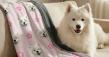 CANVASDISCOUNT Survey Finds Most Pet Décor Purchases Are Impulse-Driven