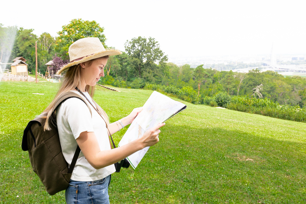 RealMapInfo LLC Explains How a Land Surveyor Reviews Property Survey Evidence