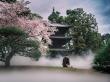 Mindful MITATE Tea Ceremony Comes to Hotel Chinzanso Tokyo’s Japanese Garden: A Tranquil Tea Experience