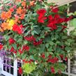 Dirty Dirt Soil Company Launches Purpose-Built Soil Line for Independent Garden Centers and Home Gardeners