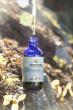 Earth Buddy Addresses Upcoming Federal Regulation Changes and Their Impact on Pet Products
