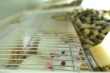 Building Reliable Diabetic Animal Models for Global Diabetes Research