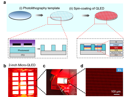 Two-inch wafer-scale Micro-QLED fabrication technology