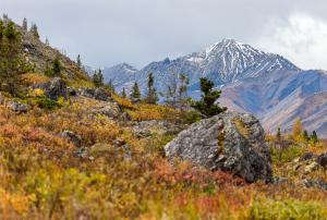 Eternal Alaska, founded to help families carry out final wishes in Alaska, today announced its national expansion and rebranding as Eternal Legacy Service, reflecting the company's growth beyond Alaska Snow-covered mountains rising above colorful autumn tundra and rocky terrain in Denali National Park, Alaska
