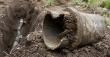 Gresham Sewer Line Calls Rise as Tree Roots Reach Aging Pipe Joints