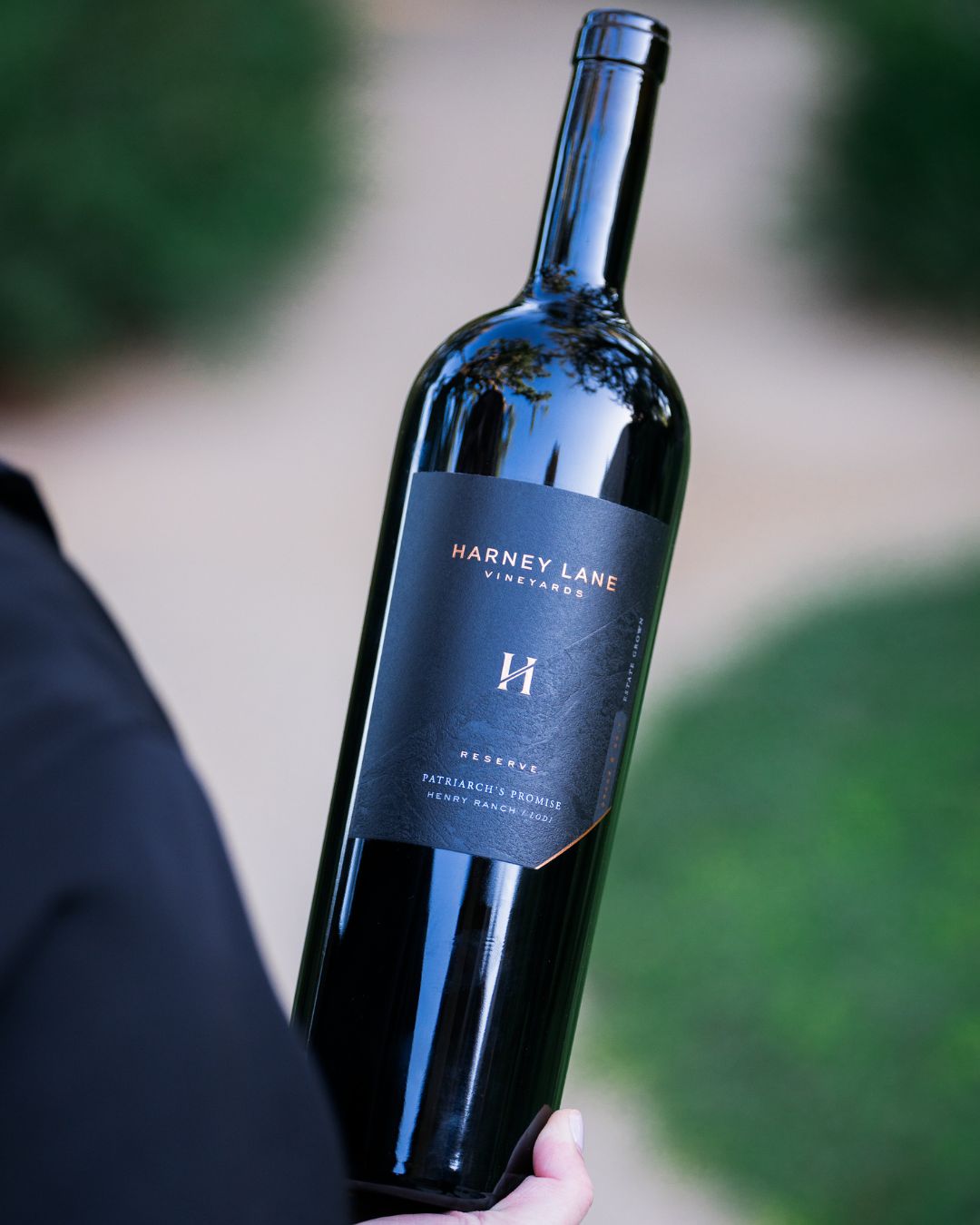 A Family Secret Revealed: Lodi’s Harney Lane Vineyards Breathes New Life into a Forgotten California Varietal