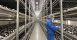 Shundi Foods Strengthens Its Dried Mushroom Supply Chain from Cultivation to Processing