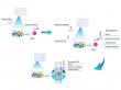 Beware of Multiplex Assay Kits "Patch-work Traps": Is Your "Multiplex Kit" Real Technology or Mere Physical Assembly?