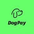 DogPay supports global businesses in opening multi-currency bank accounts in the US, Singapore, and Hong Kong online.
