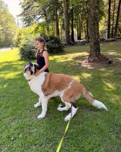 Dog Training Lehigh Valley