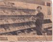 Parker's Records & Comics Expands Online Collection to Nearly 87,000 Records and Comics