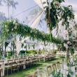 Accel Events & Tents Expands Oahu Inventory with New Tenting and Lounge Collections