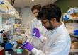 New AI BioDesign accelerator combines experimental biology and artificial intelligence to learn nature’s design rules