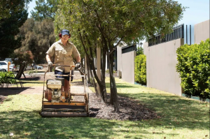 With spring growth about to accelerate across Perth, commercial landscaping specialist Externals Landscape Services is encouraging local businesses, schools, aged care operators and strata managers to review how their outdoor grounds are managed before the busiest months of the year arrive commercial landscaping perth