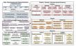 Beyond the map: Adaptive AI model reduces ionospheric modeling errors by up to 85%