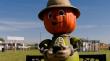 Maize in the City Opens 2026 Season Sept. 19 in Thornton