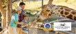 The Living Desert Zoo and Gardens Renews Certified Autism Center™ Designation
