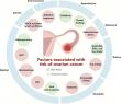 Ovarian cancer rates are falling in wealthy nations—but rising elsewhere, global study finds