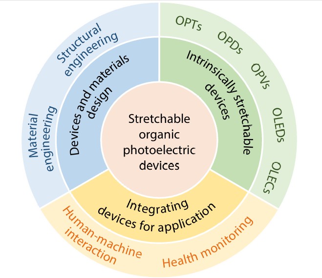 From rigid to rubbery: the future of wearable optoelectronics takes shape