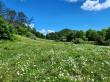 LandYield Issues First Carbon Credits Through ACR