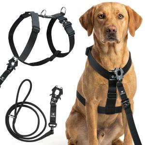 Product hero shot done for a pet harness and leash in a ghost mannequin style along with the product on a dog