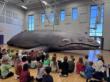 The Mammoth Hunter and Forest Whales Join Forces to Bring Immersive Science and Prehistory Programs to Midwest Schools