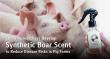 Chula Researchers Develop Synthetic Boar Scent Mimicking Natural Pheromones to Reduce Disease Outbreak Risks in Pig Farm