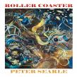 Roller Coaster Chronicles: A Remarkable Life of Resilience, Faith, and the Courage to Keep Moving Forward