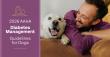 AAHA Releases 2026 Diabetes Management Guidelines for Dogs 