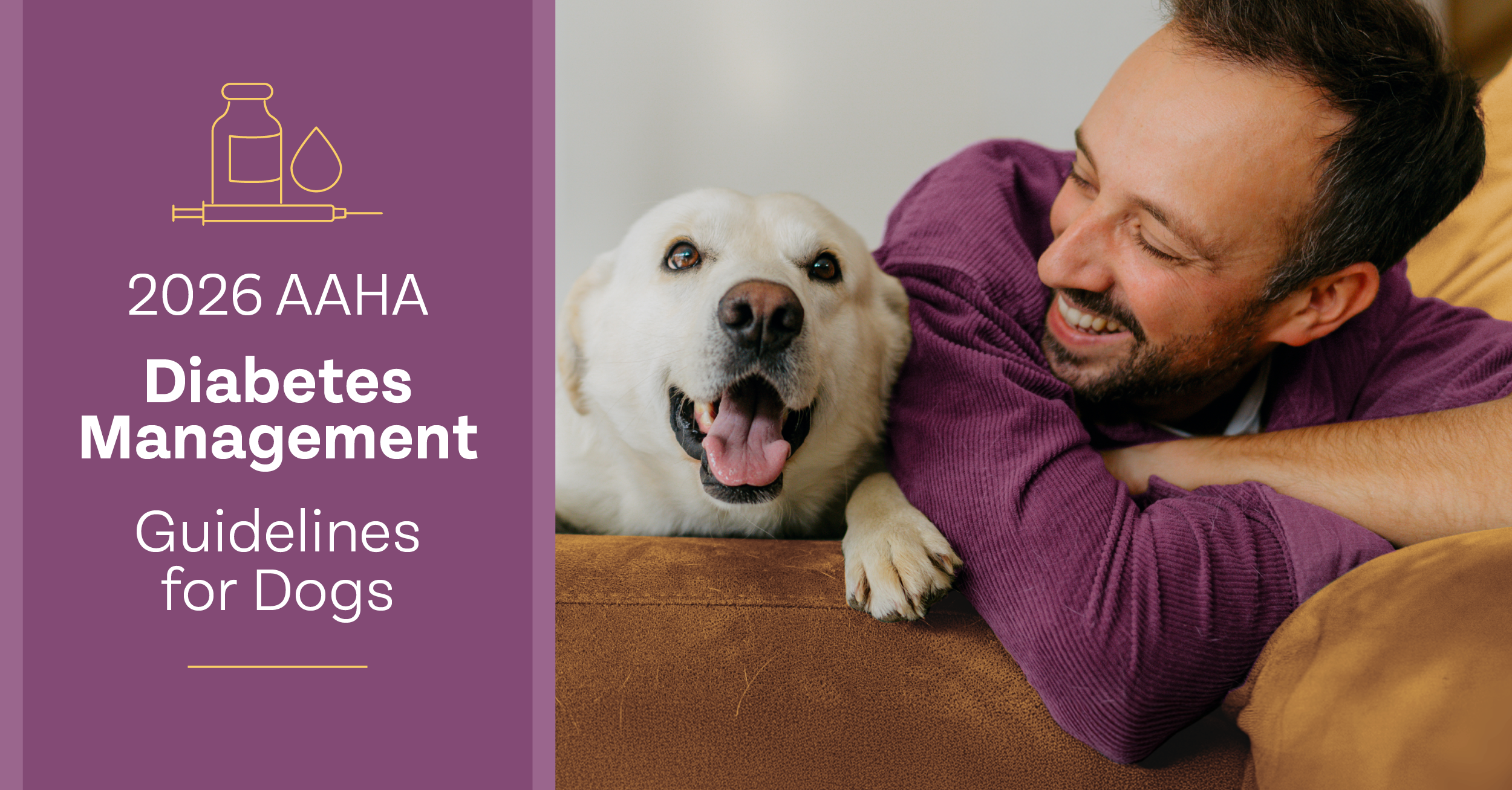 AAHA Releases 2026 Diabetes Management Guidelines for Dogs
