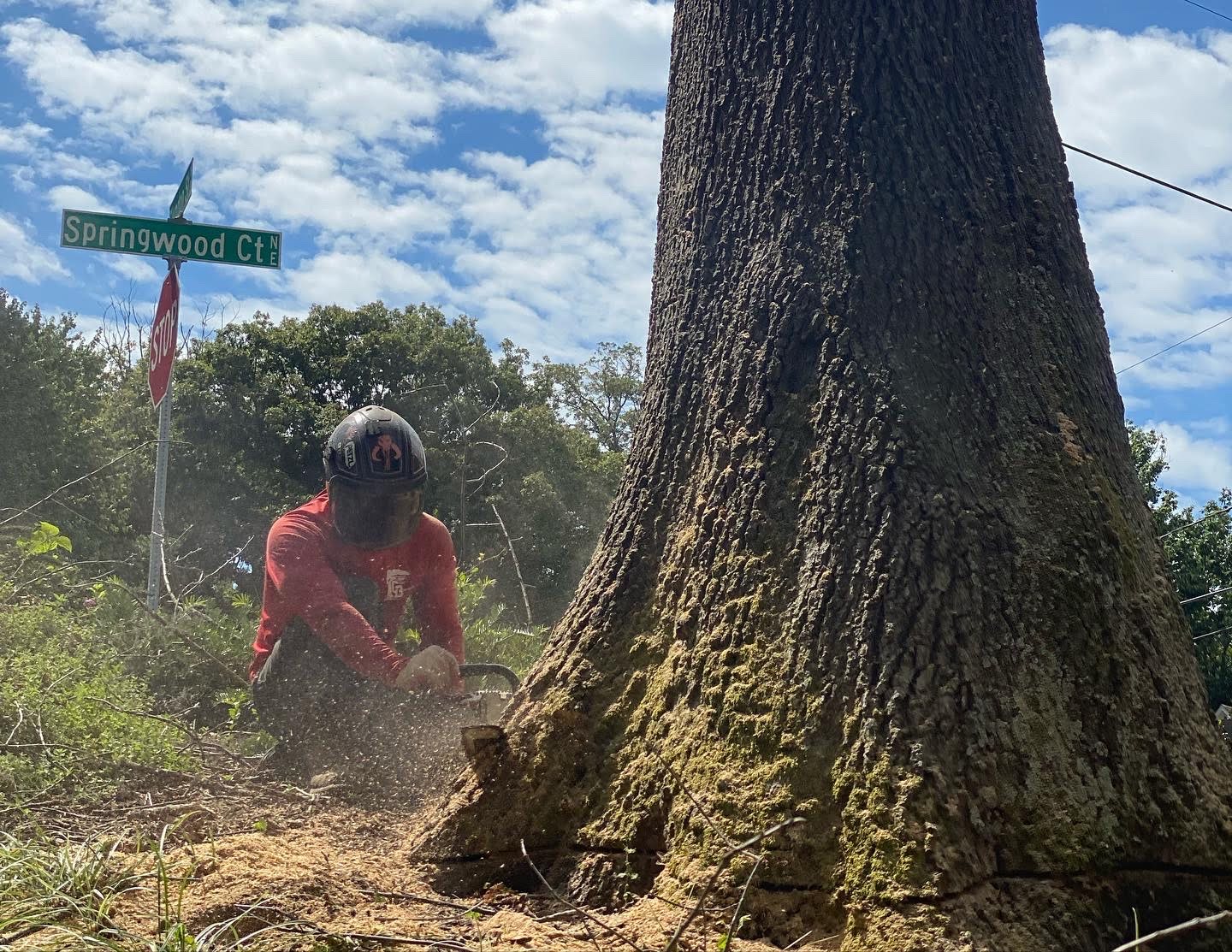 Grant Brothers Urges Homeowners to Inspect Trees Before Severe Weather Arrives