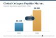 Top Collagen Peptide Manufacturers in the World