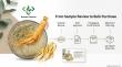 Bulk Sourcing Guide from Demeterherb, a China Premium Ginseng Extract Exporter