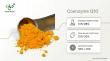 Fermentation vs Synthesis Method: Analysis from a Professional One-Stop Coenzyme Q10 Manufacturer