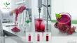 Natural Beet Root Powder for Beverage Industry: Analyzing Stability and Solubility Factors