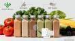 Top 10 Organic Fruit Powder Supplier in China Offering Competitive Pricing and Bulk Supply