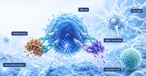 Conceptual diagram of an NK cell with amyloid-beta, alpha-synuclein, microglia, activated T cells and neuroinflammation