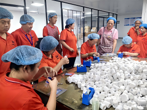 Anji Hongde Medical‑70+ Dedicated Disabled Employees
