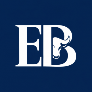 The Economic Blindspot Logo